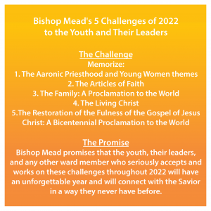 Bishop Mead's 2022 Challenge